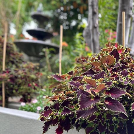 Vesper Apartments ケープタウン エクステリア 写真
